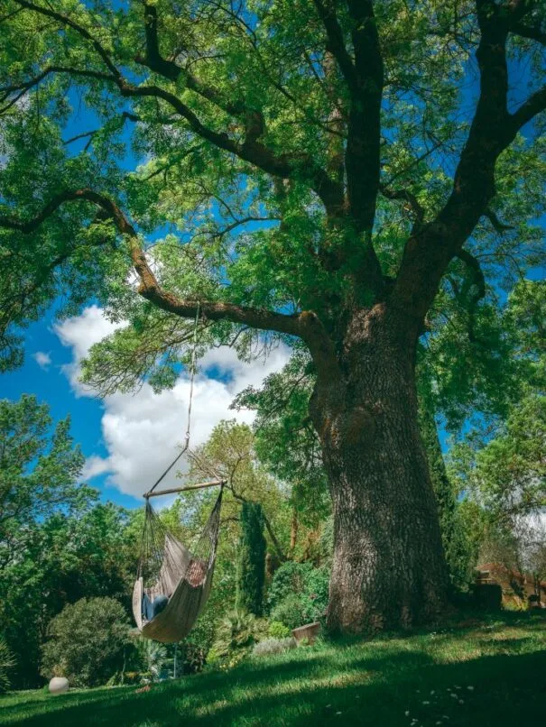 La Joncasse Haute dans la campagne occitane